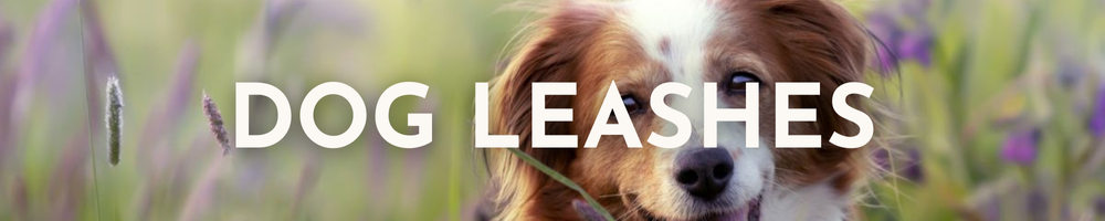 Dog Leashes