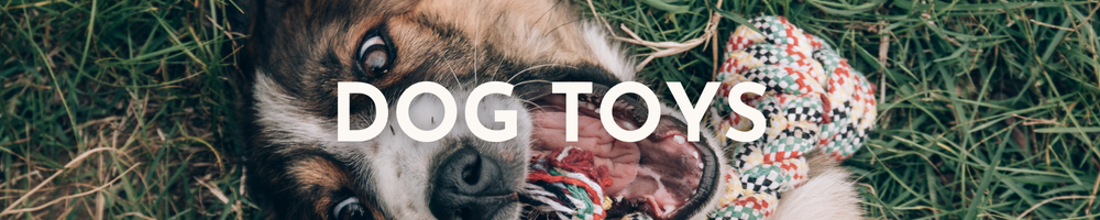 Dog Toys Category