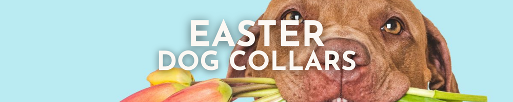Easter Dog Collars
