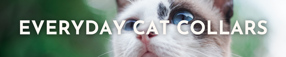 Everyday Cat Collars