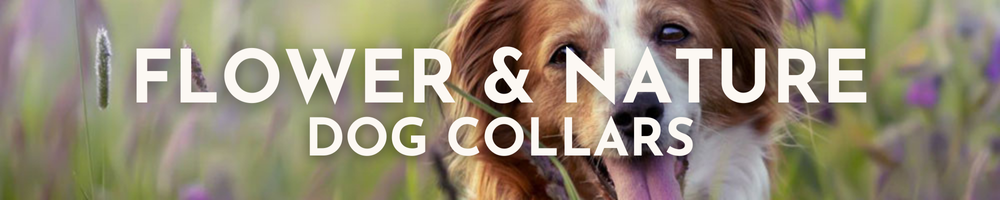 Flower Dog Collars Category