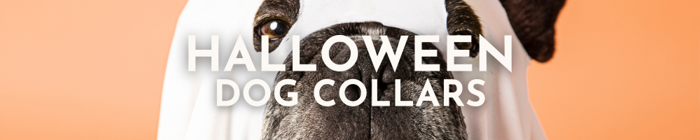 Halloween Dog Collars