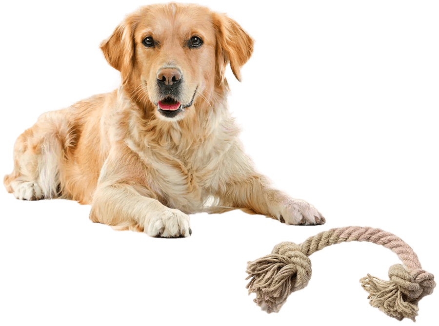 Hemp dog toy