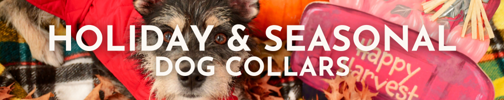 Holiday and Seasonal Dog Collars Banner