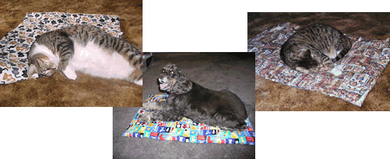 Pet Blanket
