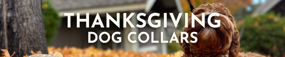 Thanksgiving Dog Collars