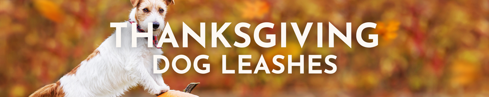 Thanksgiving Dog Leashes