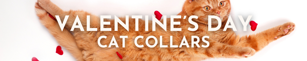 Valentine Cat Collars