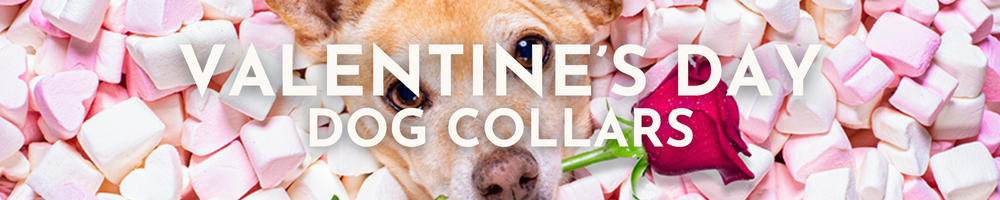 Valentine Dog Collars Banner