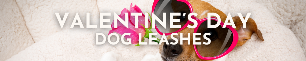 Valentines Dog Leashes