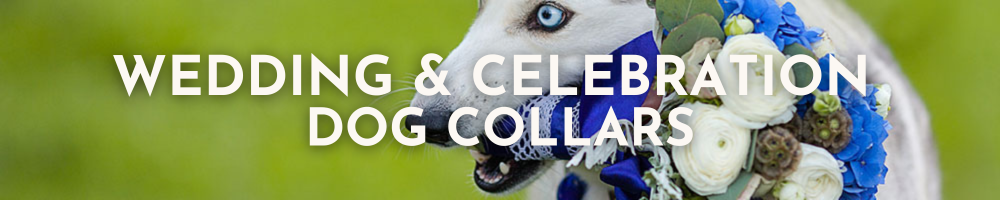 Wedding & Celebration Dog Collars for Sale