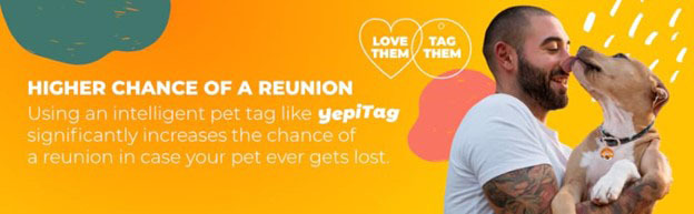 YepiTag Pet Tag Image