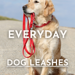 Everyday Dog Leashes