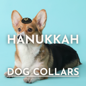 Hanukkah Dog Collars