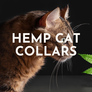 Hemp Cat Collars