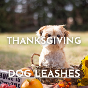 Thanksgiving Dog Leashes