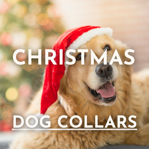 Christmas Dog Collars