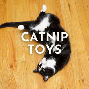 Catnip Toys