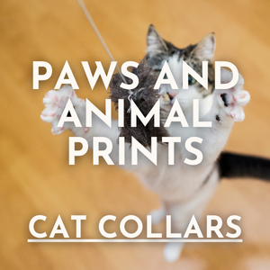 Paws & Animal Print Cat Collars