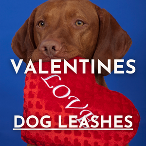 Valentine's Day Dog Leashes