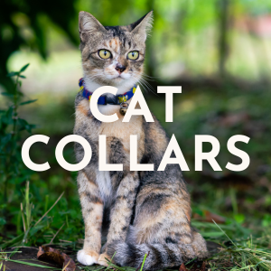 Cat Collars
