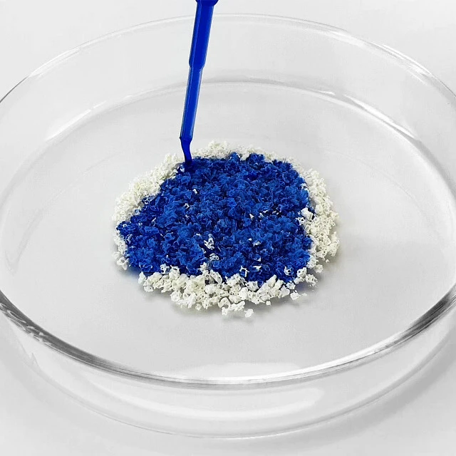 Xenograft