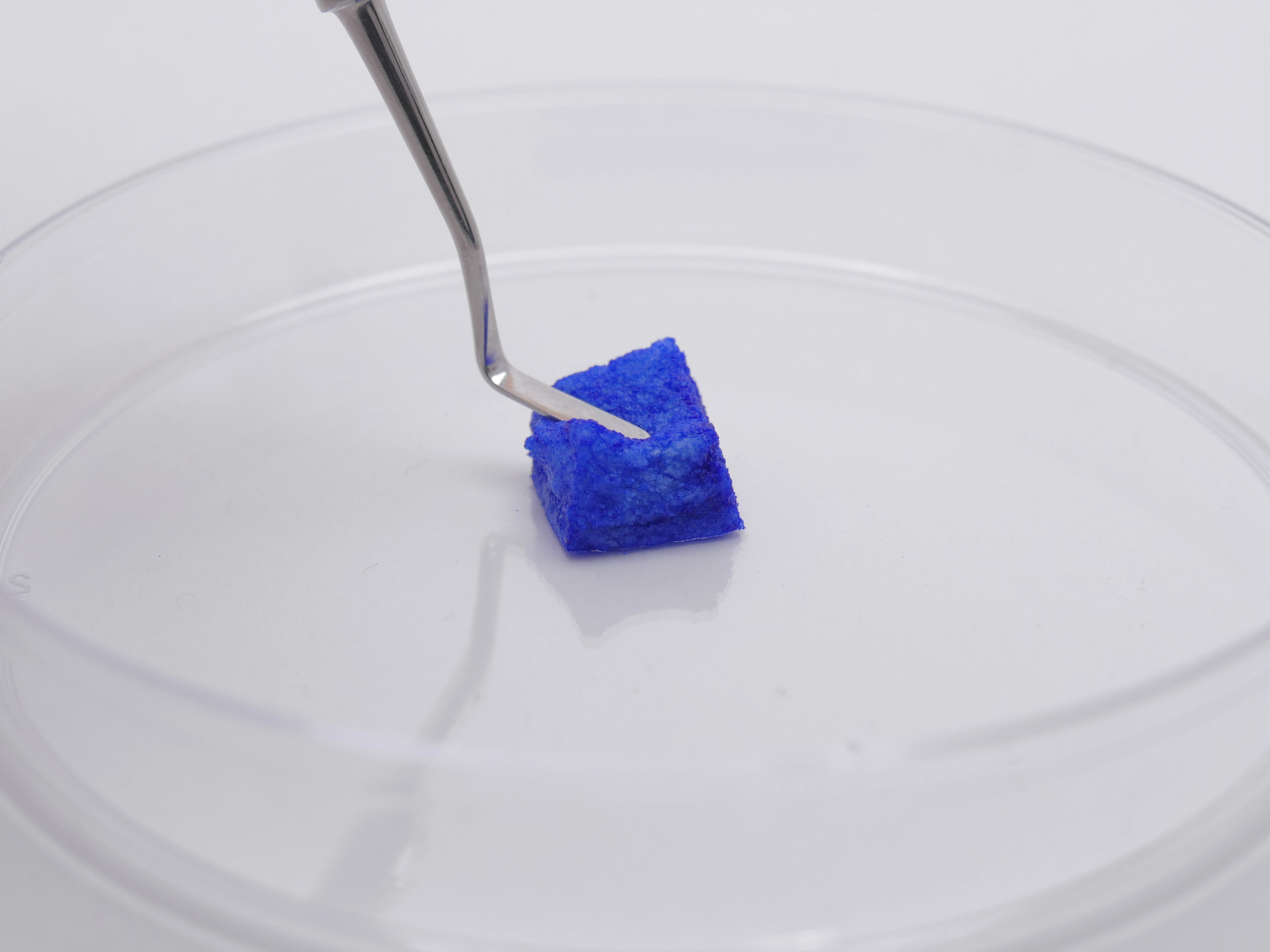 Allograft