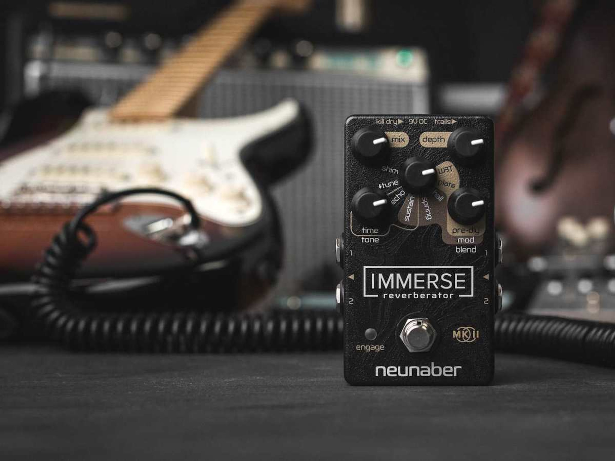 絶妙なデザイン N A Immerse E - A Immerse Reverberator MkII MkII ...