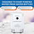 SEAFLO Bottled Water System - Convenient On/Off Switch, 20ft Discharge Tube, Wall Plug