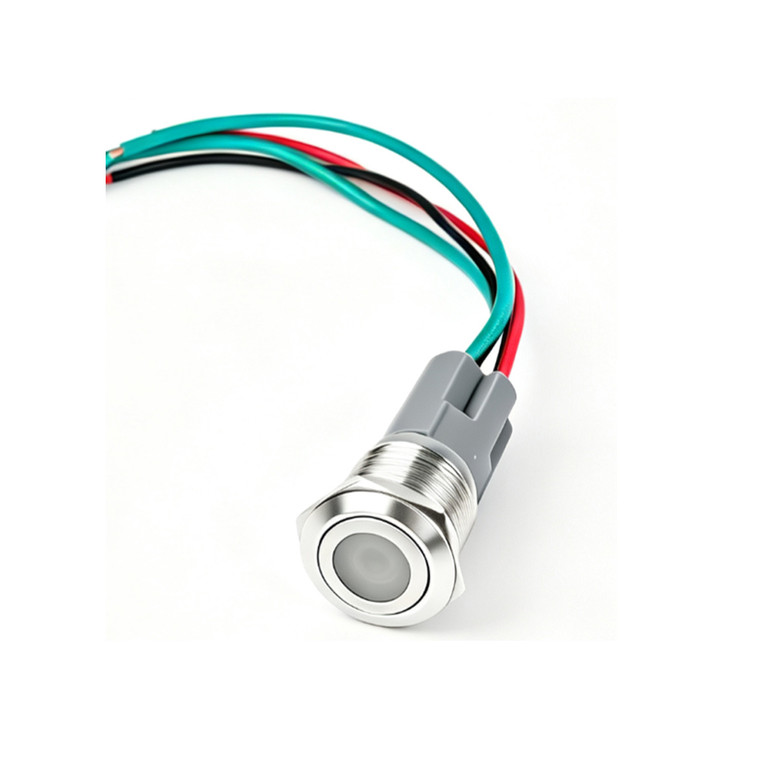 Stainless Steel Push Button Switch 01 Series