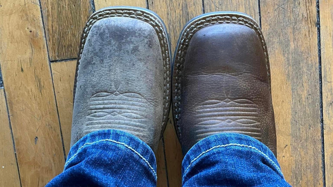 The Best $4.99 You’ll Ever Spend