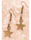 Macey Star Earrings