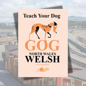 Teach Your Dog 'GOG' North Wales Welsh