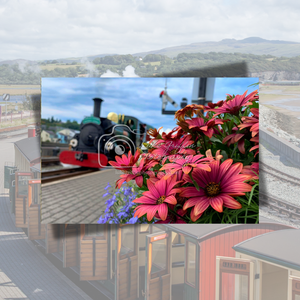 Greetings Card - Linda, Signal, Flower