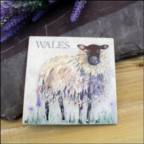 Wales Sheep Coaster (8WL570)