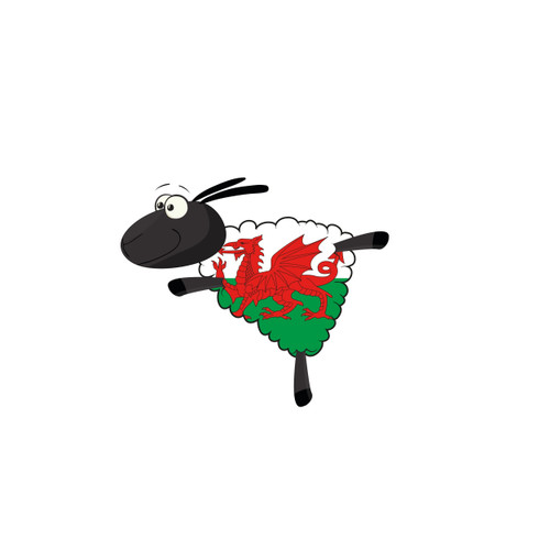 Welsh Sheep Skating Magnet (WM28)