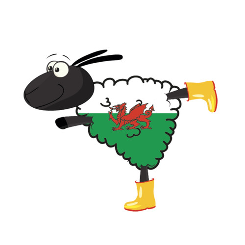 Welsh Sheep in Yellow Wellies Magnet (SM3)