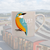 Mug 325ml / Boxed - RSPB - Kingfisher Birds (MUGBRSPB05)