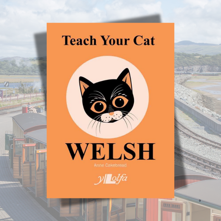 Teach Your Cat Welsh
