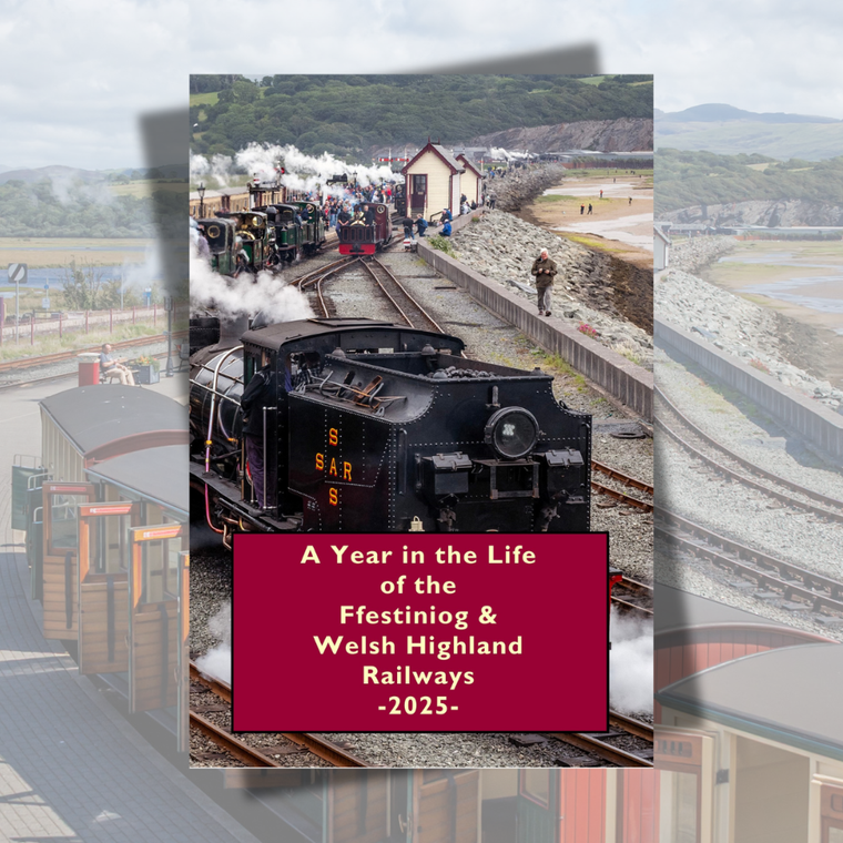 A Year in the Life 2025 DVD