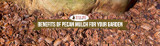 Benefits Of Pecan Mulch For Your Garden