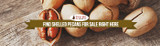 Find Shelled Pecans For Sale Right Here