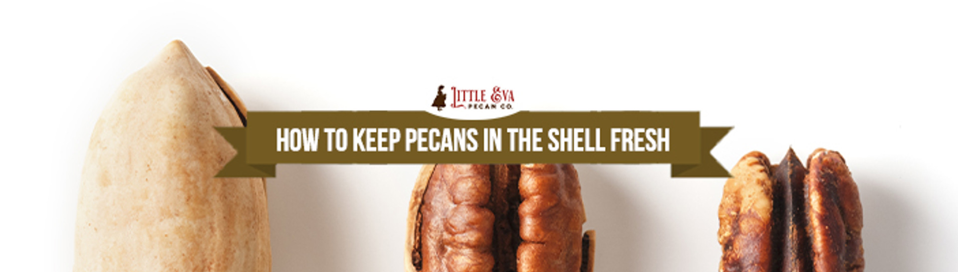 How To Keep Pecans In The Shell Fresh