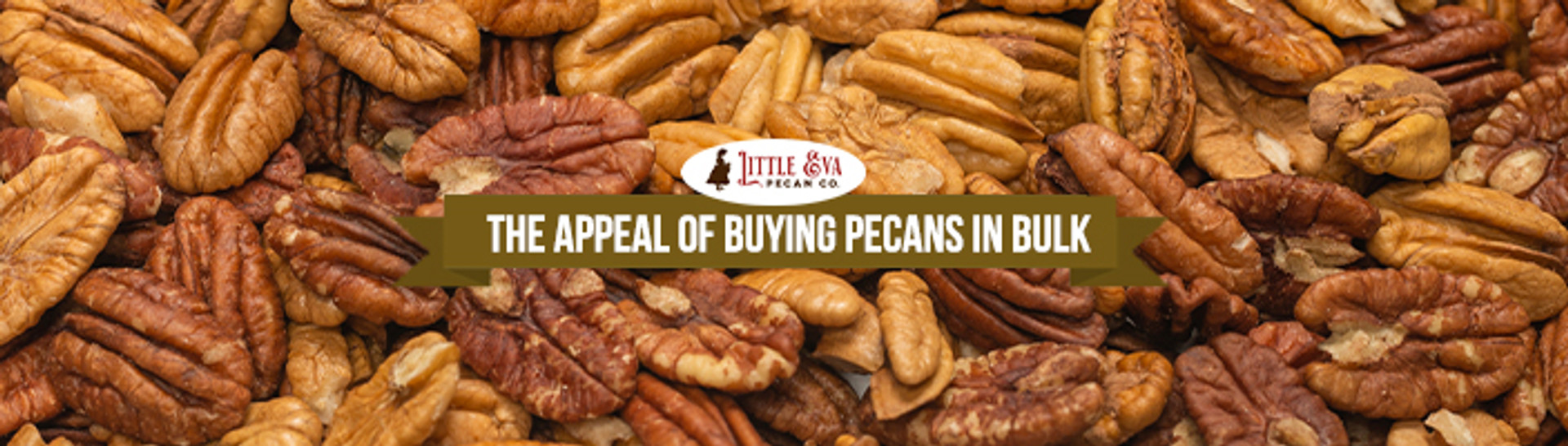 The Appeal Of Buying Pecans In Bulk