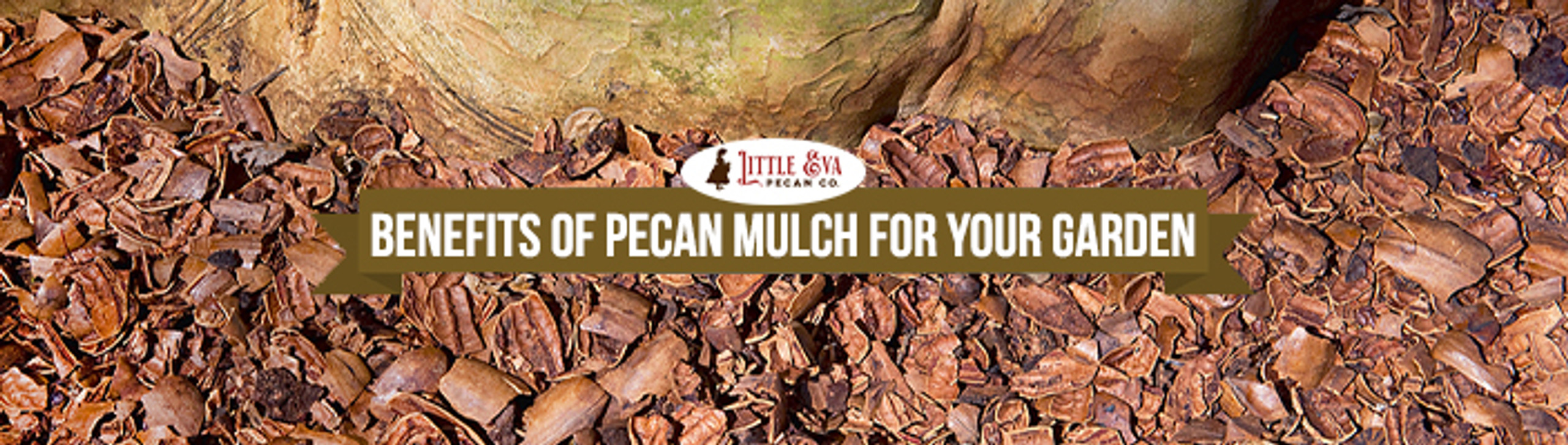Benefits Of Pecan Mulch For Your Garden