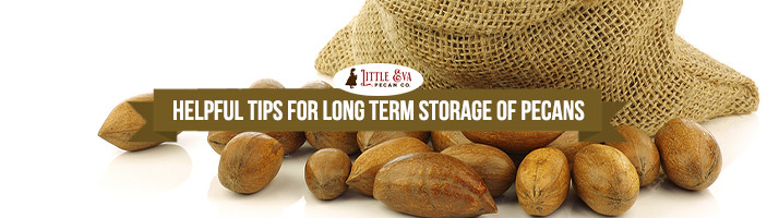 Helpful Tips For Long Term Storage Of Pecans