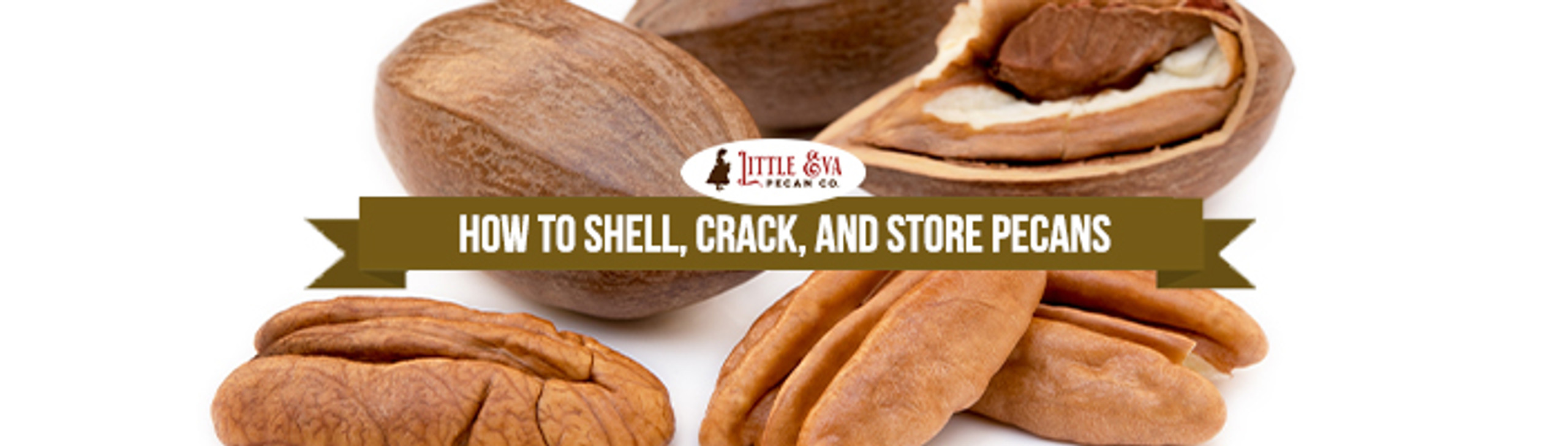 How to Shell, Crack, and Store Pecans