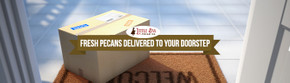 Fresh Pecans Delivered to Your Doorstep