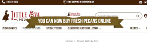 You Can Now Buy Fresh Pecans Online 