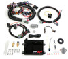 HP ECU AND HARNESS, MPFI, NTK